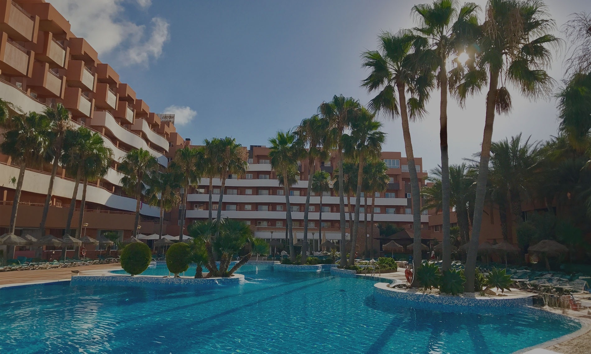 una gran piscina rodeada de palmeras frente a un gran edificio