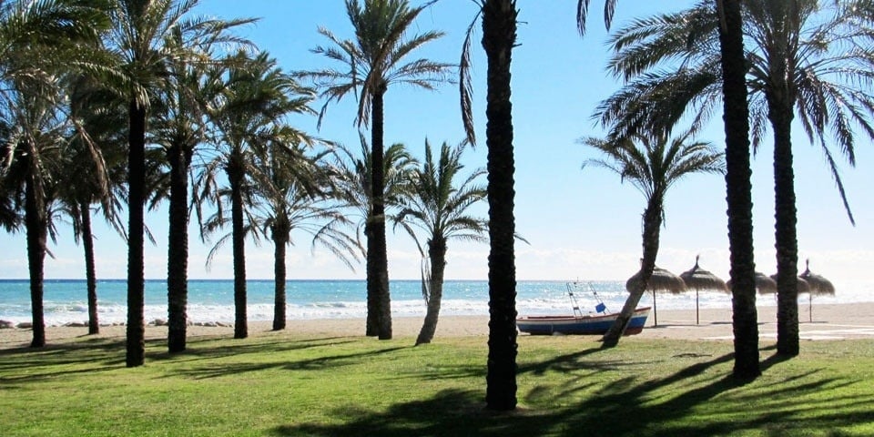 a row of palm trees on a beach with a boat in the foreground