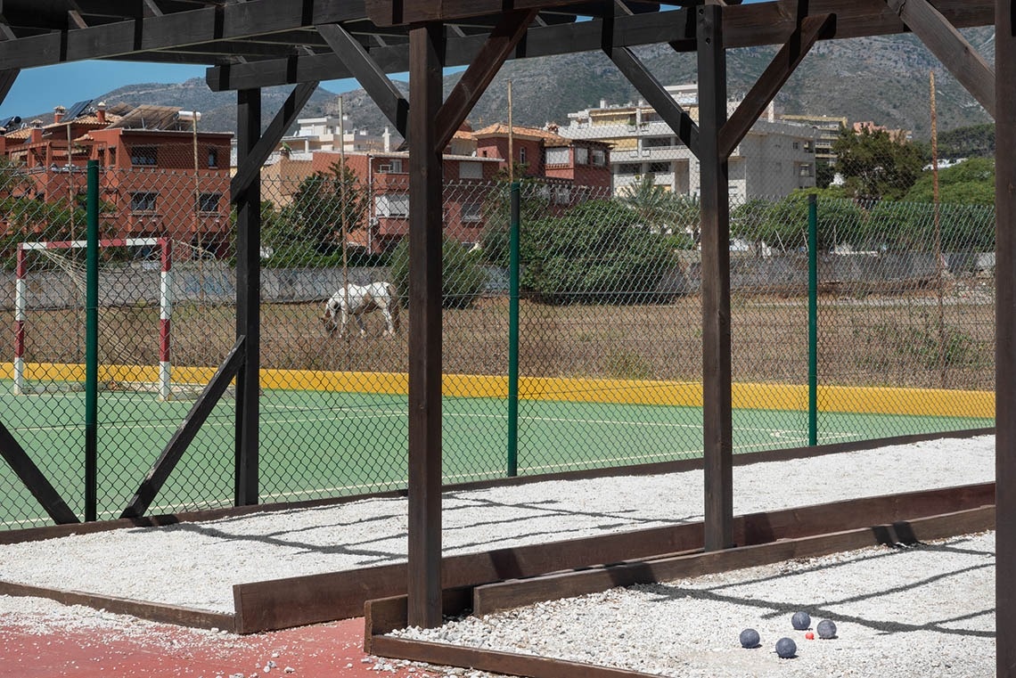 un caballo blanco está pastando junto a una cancha de tenis