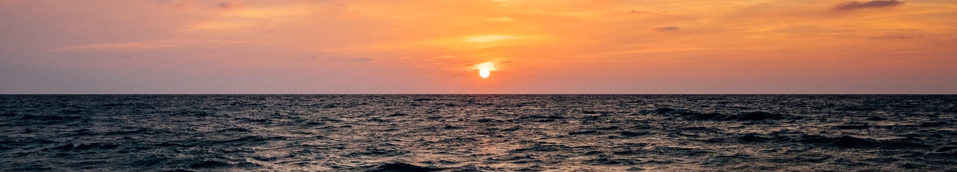 Orly Club Arena Dorada