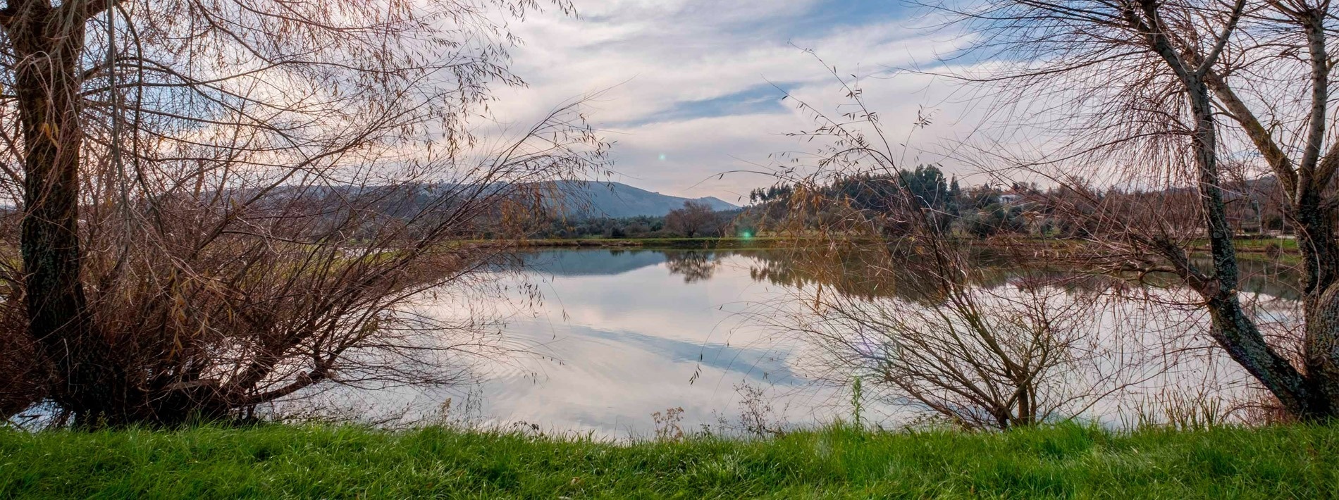 um lago cercado por árvores com montanhas ao fundo