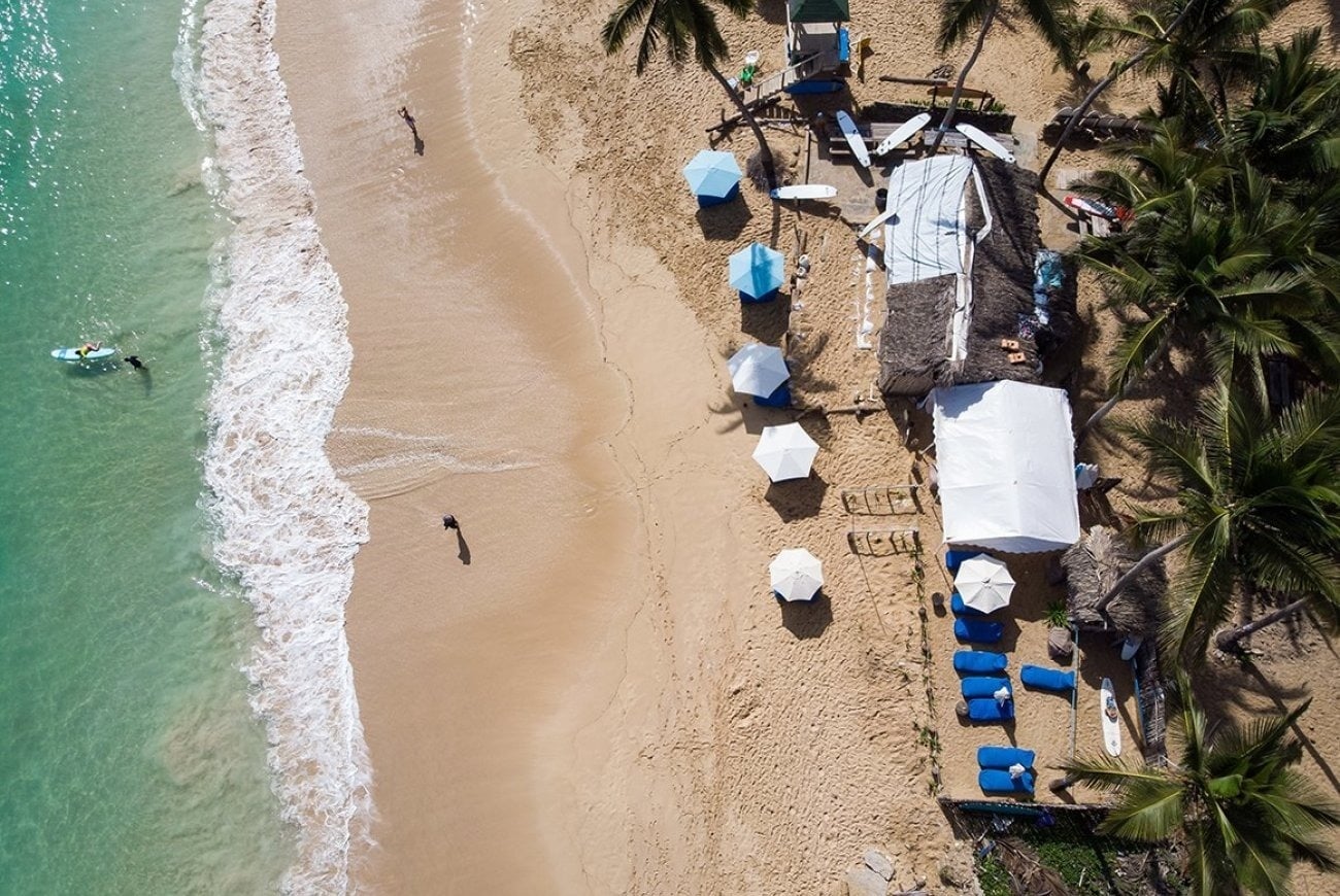 una mujer con un sombrero camina por un callejón con flores moradas