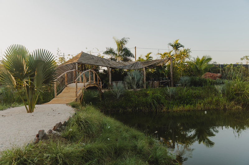 a wooden bridge over a body of water surrounded by palm trees