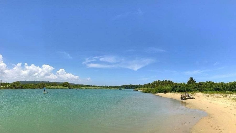 un grupo de personas están remando en tablas de surf en un río .