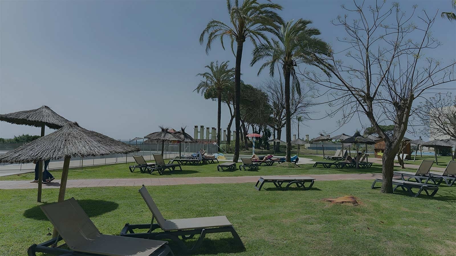 un personaje de dibujos animados con un disfraz de leopardo está parado junto a una cerca con un letrero que dice parque nacional