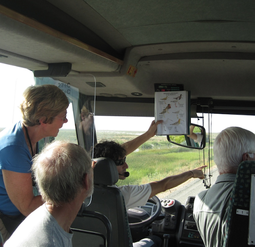 una mujer se mira en el espejo retrovisor de su auto