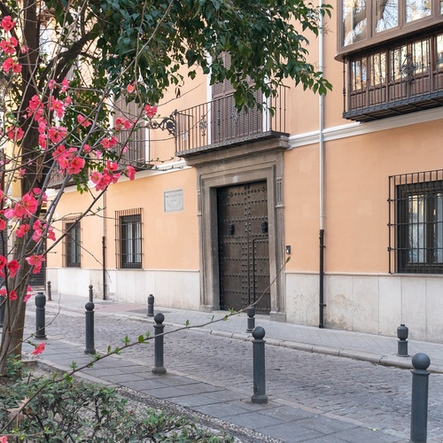 un árbol con flores rosas está frente a un edificio