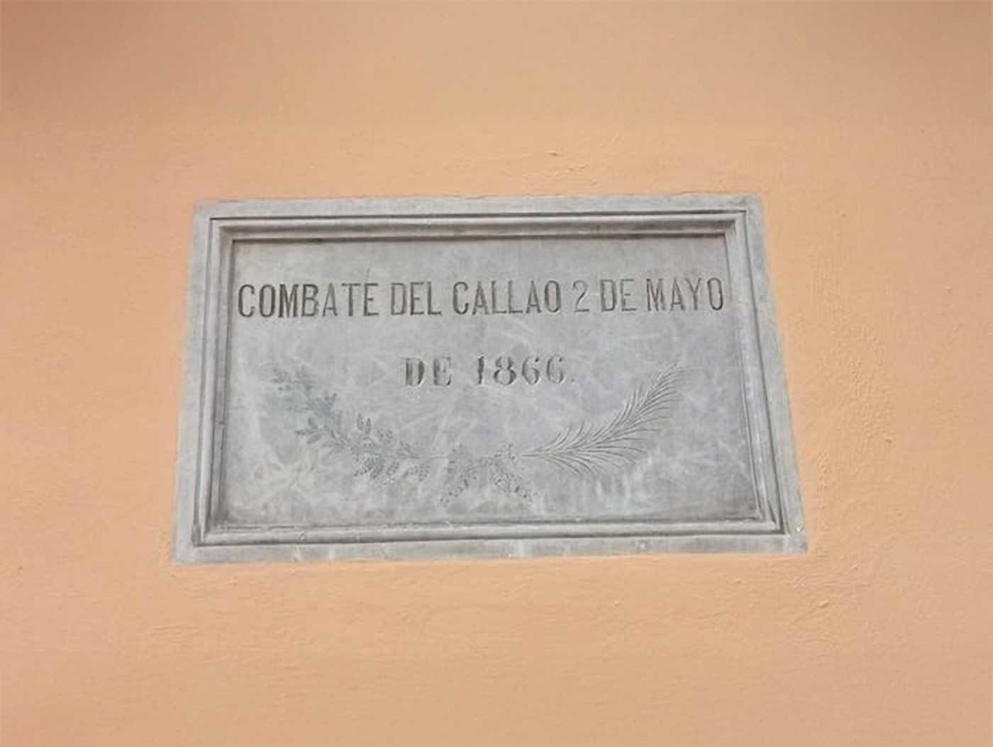 a large swimming pool is surrounded by palm trees and flowers