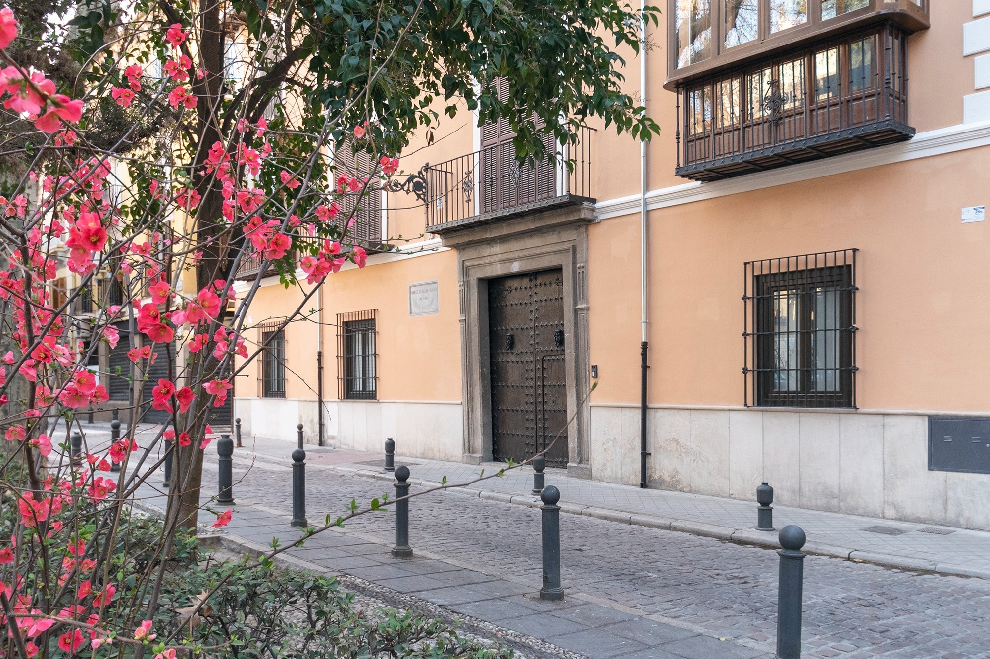 una gran piscina está rodeada de palmeras y flores