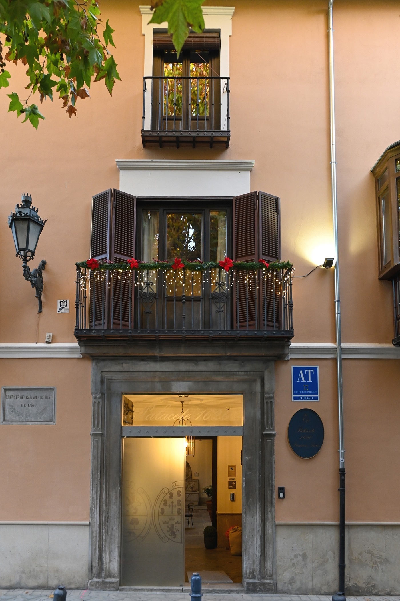 une piscine avec des palmiers et des fleurs en arrière-plan