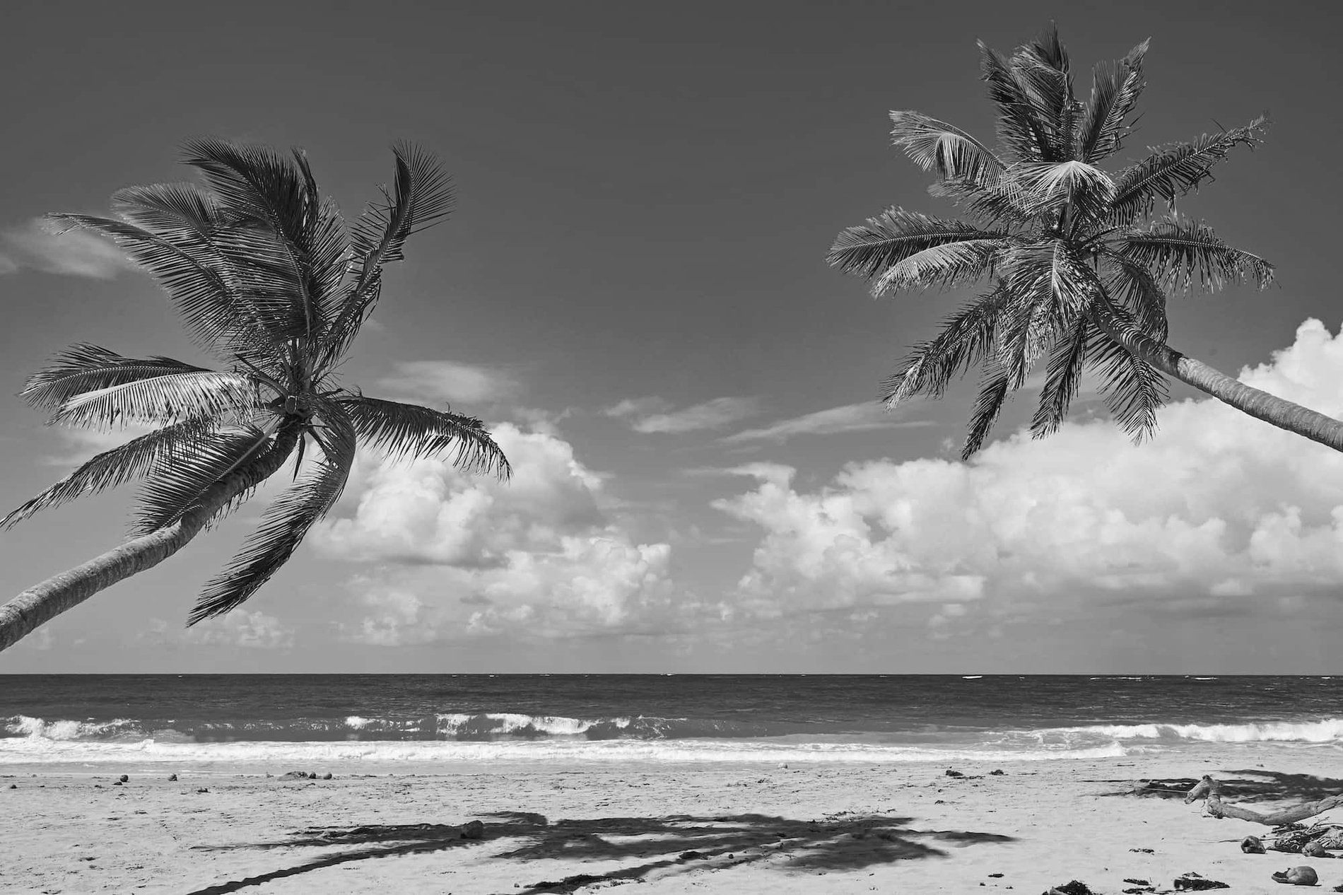 Serenade Punta Cana *****  Beach & Spa Resort =s1900