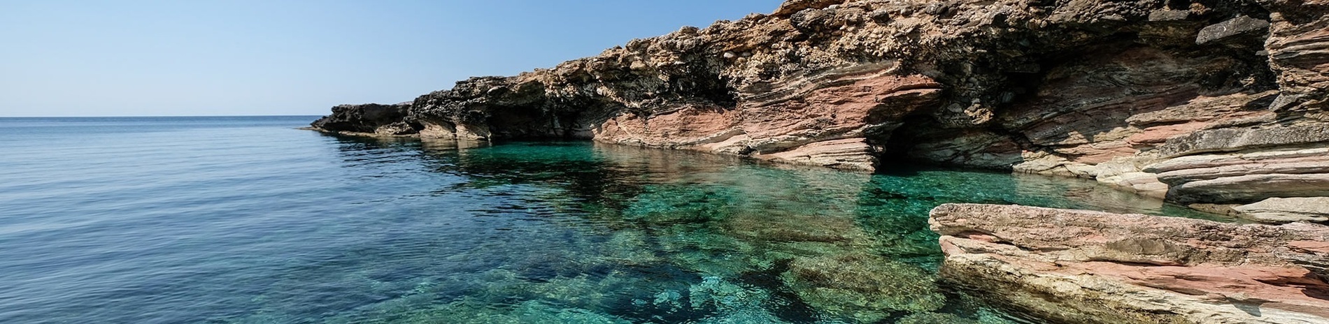 una playa con un montón de árboles en el fondo