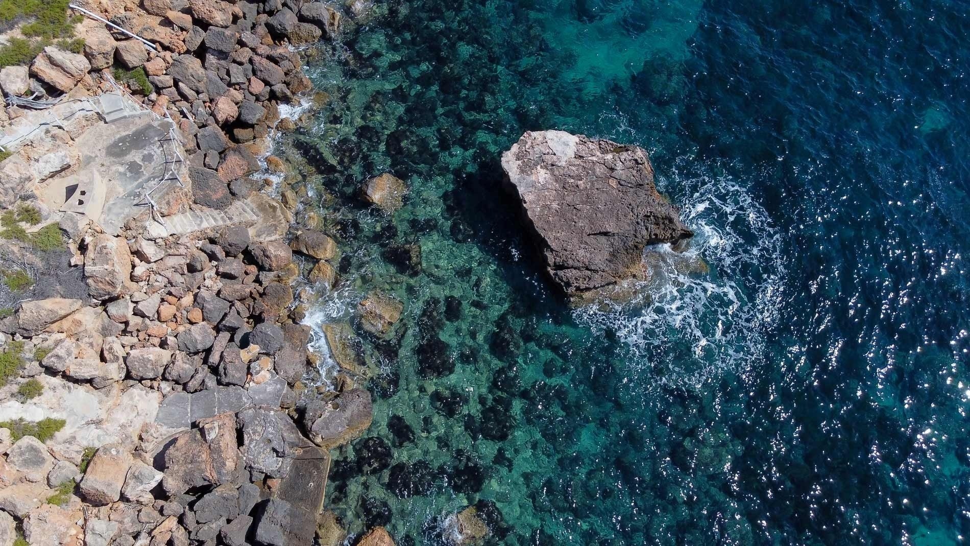 una playa con un montón de árboles en el fondo