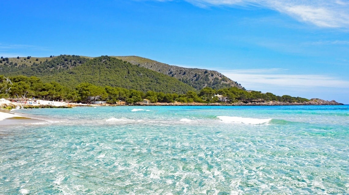una playa con un montón de árboles en el fondo