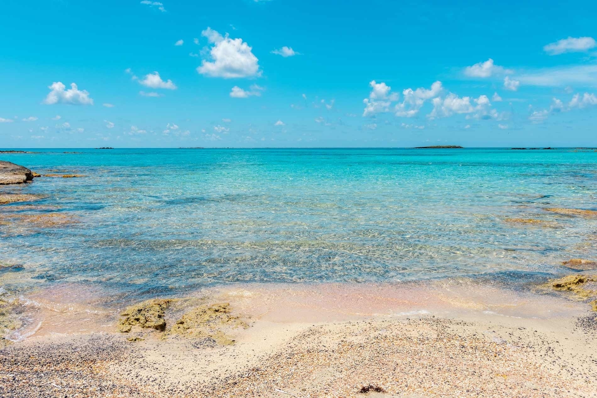 una playa con un montón de árboles en el fondo