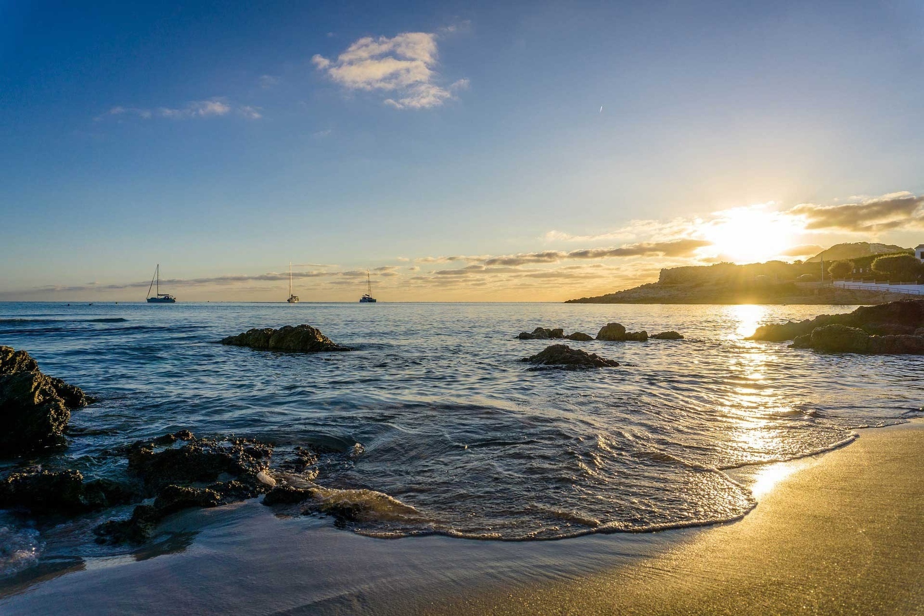 una playa con un montón de árboles en el fondo