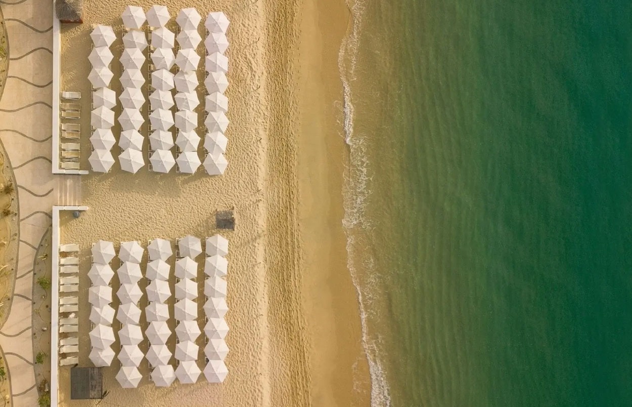 una piscina rodeada de palmeras y sillas en un resort