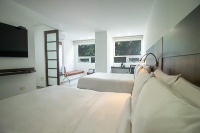 Una habitación de hotel moderna y luminosa con dos camas, grandes ventanas con vista a árboles y un área de escritorio. - 