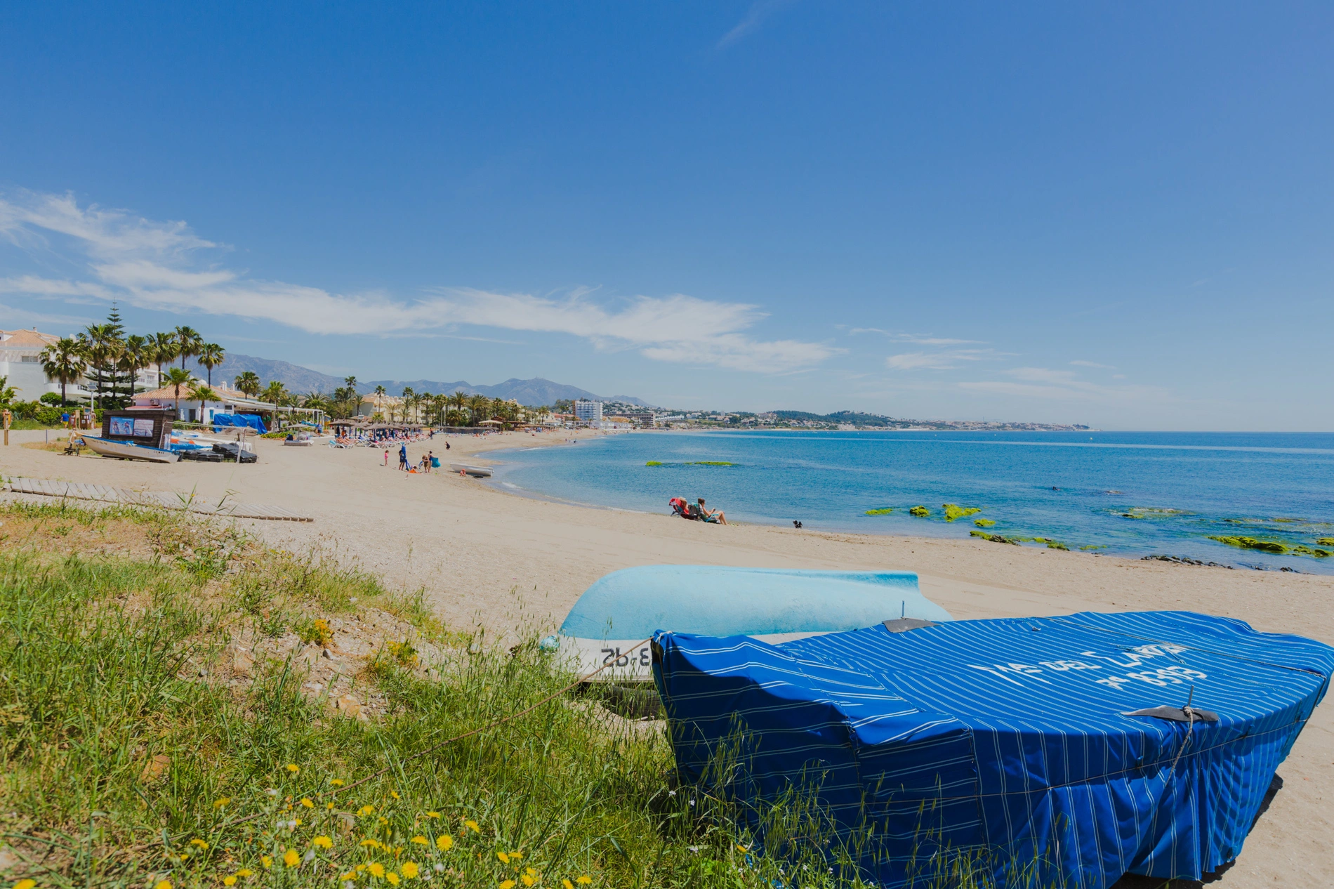 Things to do in Mijas, Málaga | Torrenueva Park | Official Web beach scene with boats and palm trees.
