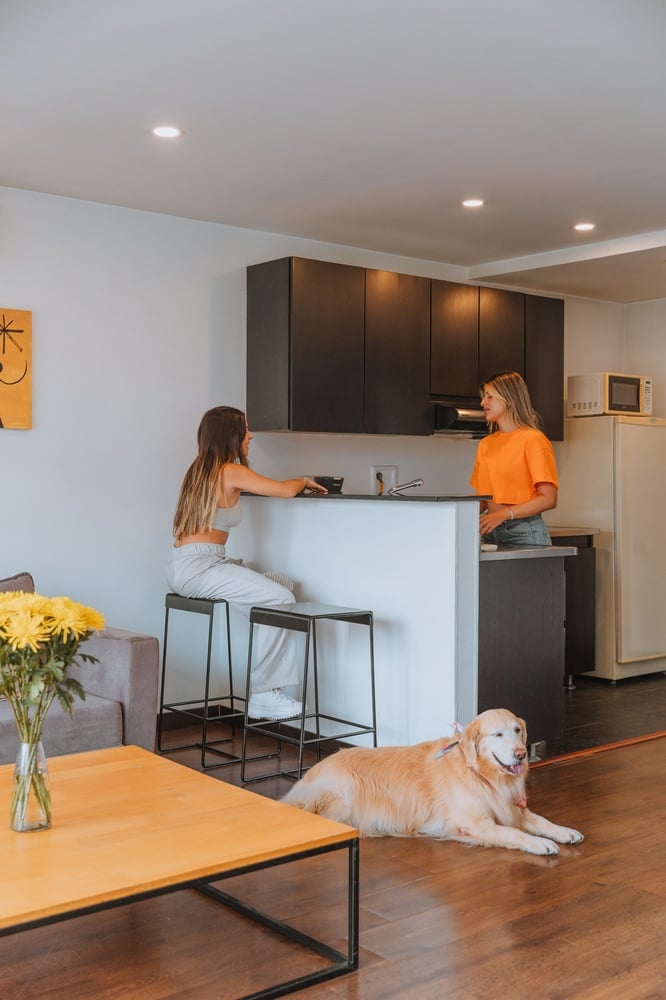 a woman sits at a counter in a kitchen while a dog lays on the floor