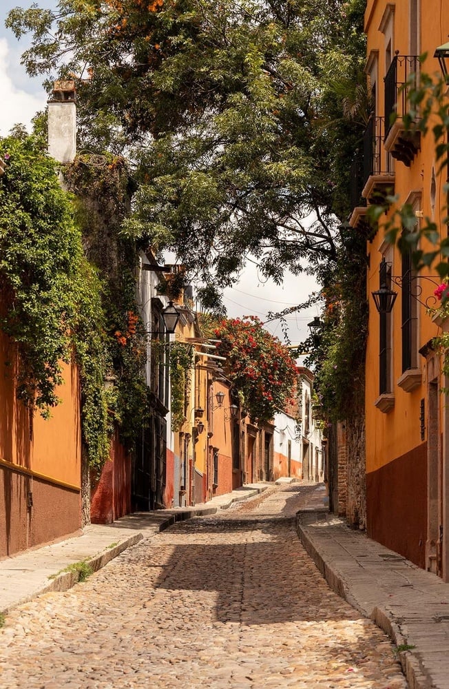 una calle estrecha llena de edificios y árboles