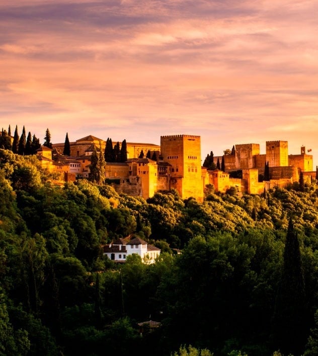 a castle sits on top of a hill surrounded by trees