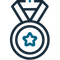 a blue medal with a star in the middle on a black background .