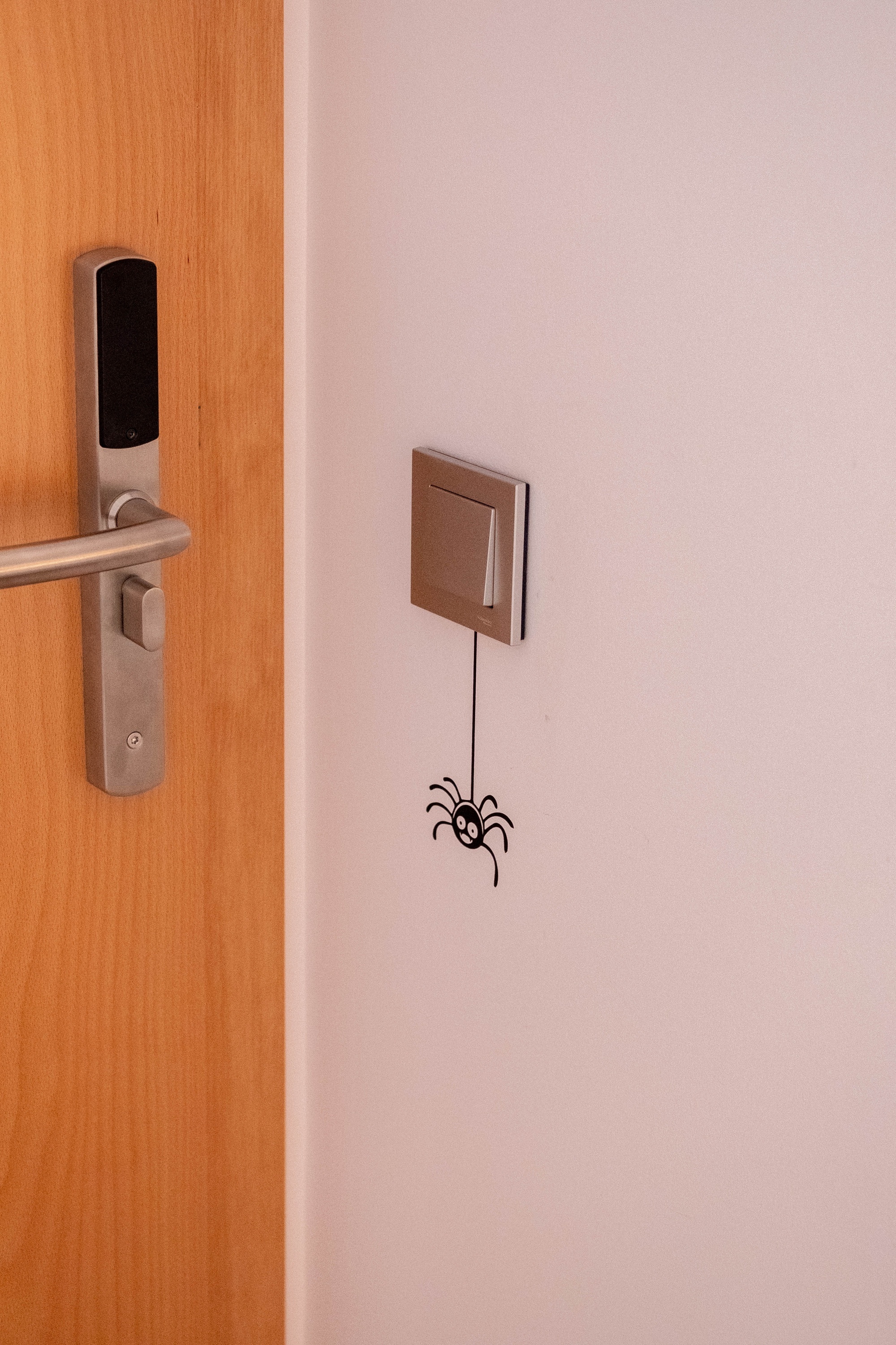 a spider is hanging from a light switch next to a door