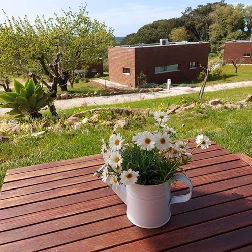 Flores frescas numa mesa de madeira em Vale d'Azenha, com vista para as casas.