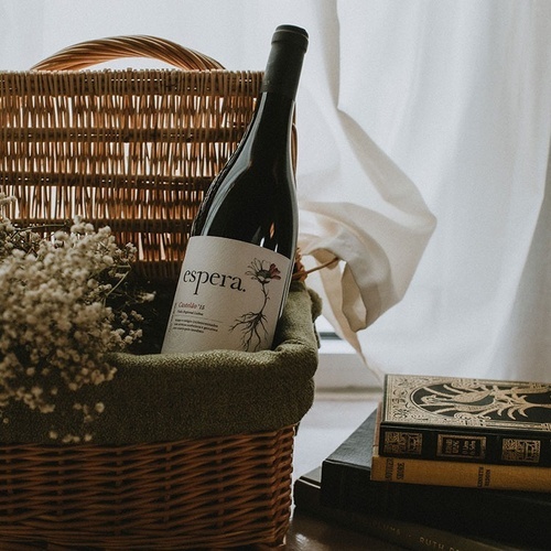 Cesta de piquenique com vinho e flores no Vale d'Azenha. Perfeito para casais.