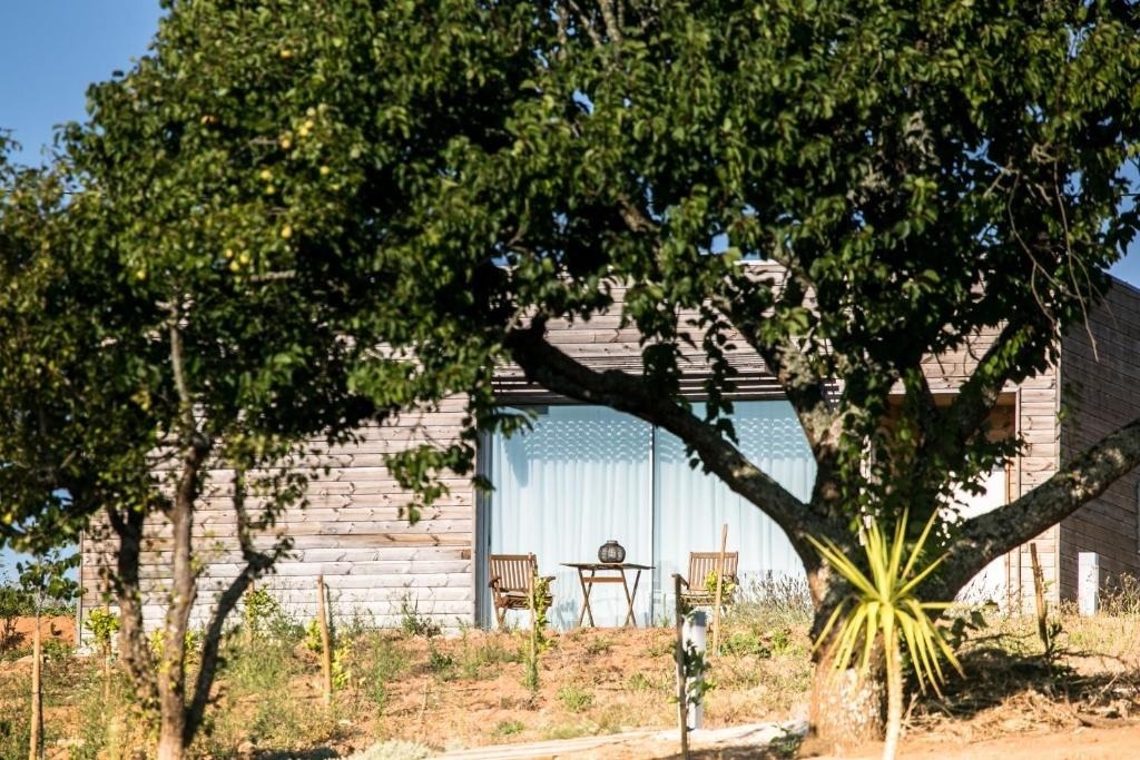 Una edificación moderna de madera con un ventanal y mobiliario exterior se vislumbra entre dos árboles frondosos, uno de ellos con frutos amarillos.