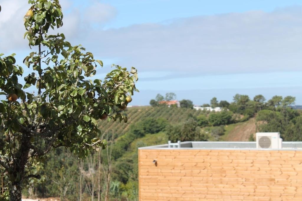 Un peral con peras en primer plano y un edificio de madera se asoman sobre un paisaje de colinas verdes y cielo azul.