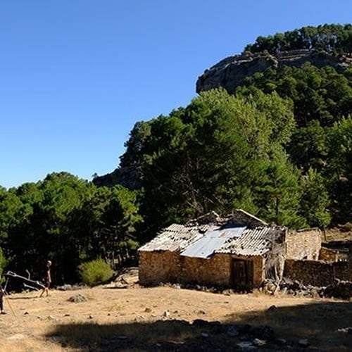 eine Gruppe von Menschen , die in einem Feld stehen