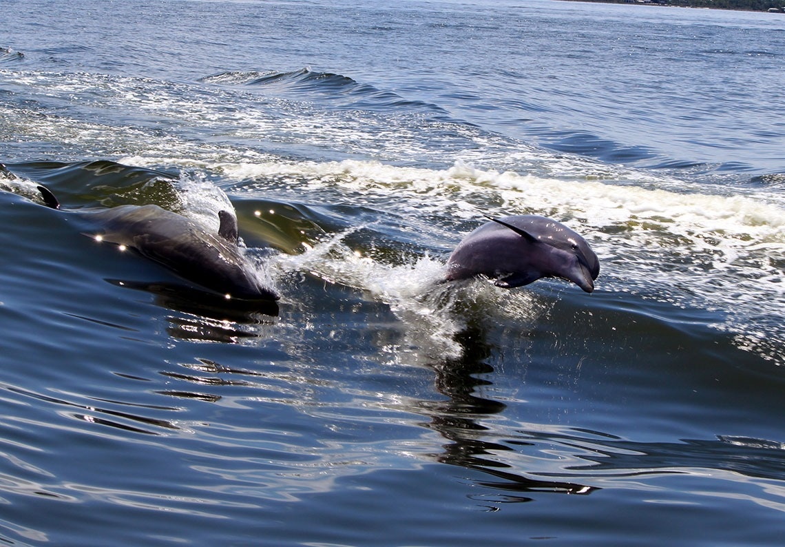 un hombre y una mujer están remando en un kayak rojo en el océano
