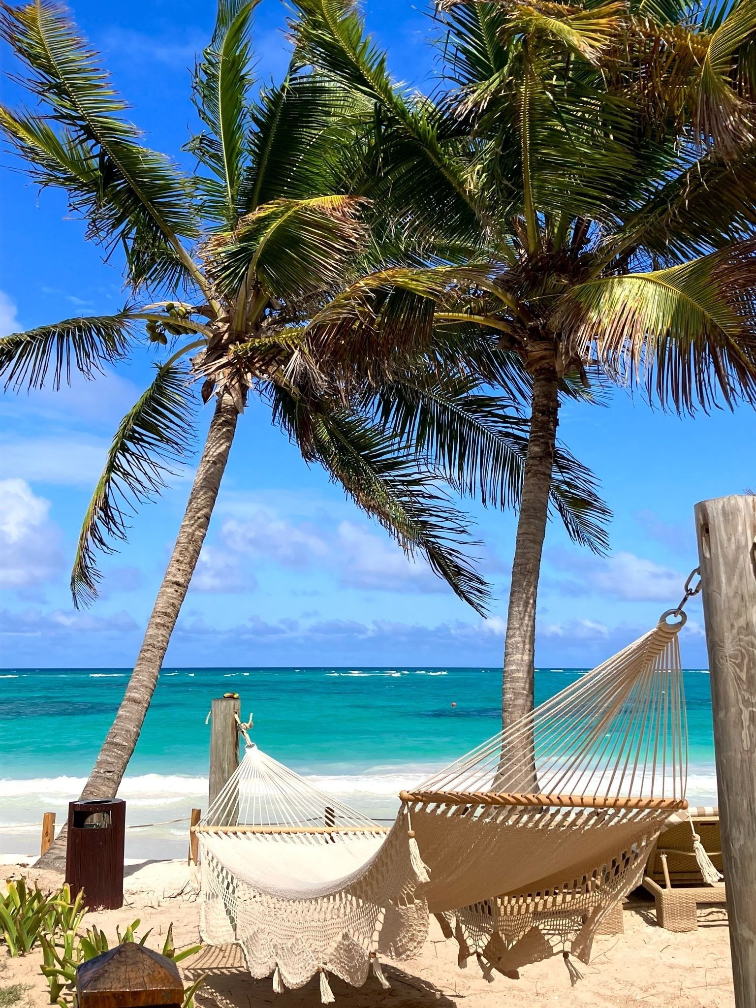 a hammock is hanging between two palm trees on a beach