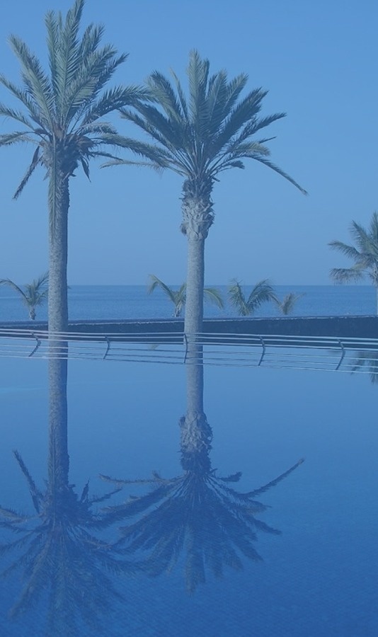 looking up at a city skyline with a gray background
