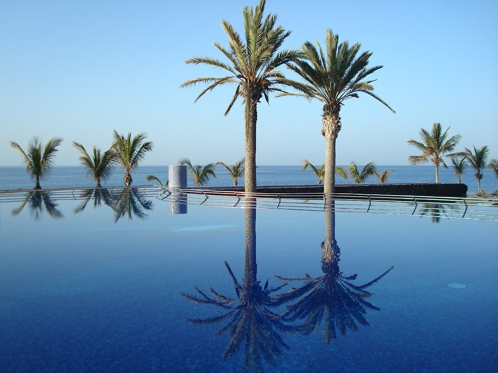 Palm trees reflected in an infinity pool overlooking the ocean at a luxury VIK: Hotel San Antonio.