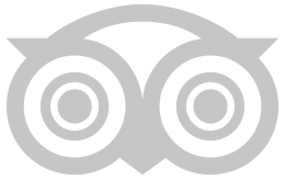 Logo do Tripadvisor em prata, com corujas estilizadas e círculos concêntricos.