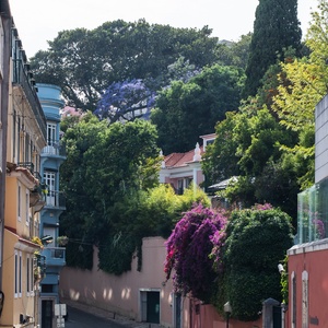 Charming Villa Dorothea street view with colorful buildings and lush greenery.