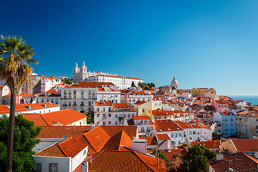 Lapa