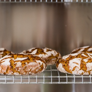 Villa Dorothea sourdough loaves cooling on a rack.