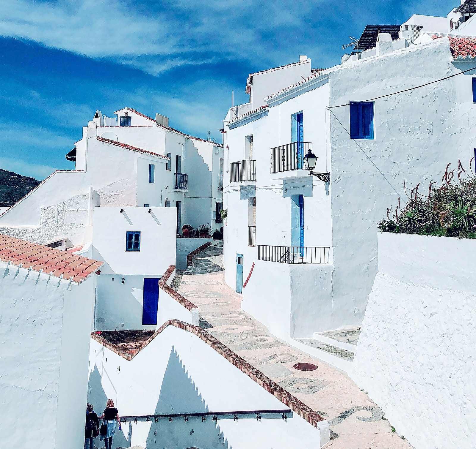 a row of white buildings with blue windows and balconies