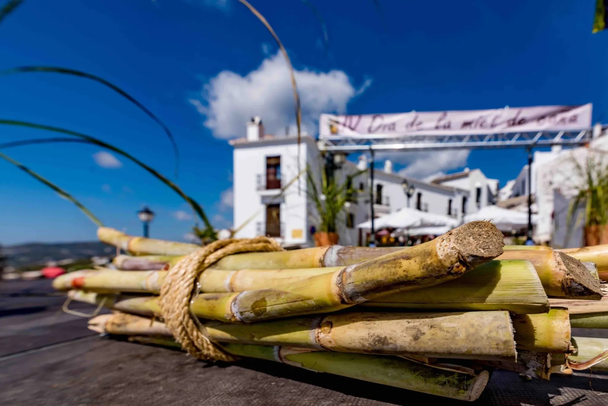 a bunch of sugar canes are tied together in front of a sign that says 