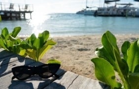 un par de gafas de sol están sobre una mesa de madera en la playa .