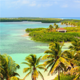 una playa tropical con palmeras y agua turquesa