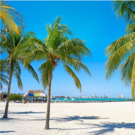 una playa con palmeras y una cabaña en el fondo