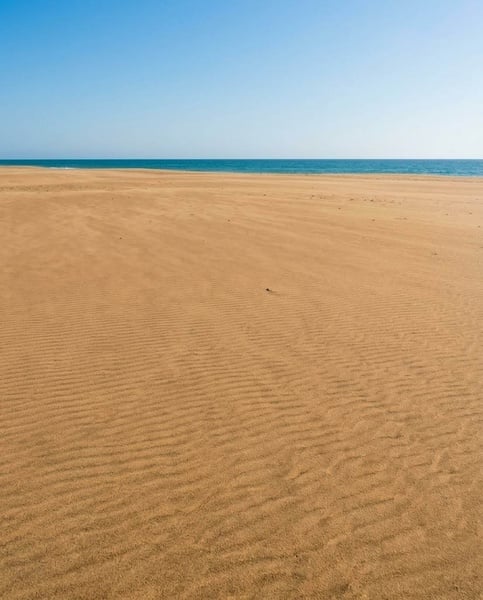 Des dunes de sable doré s'étendent jusqu'à l'océan sous un ciel bleu clair.