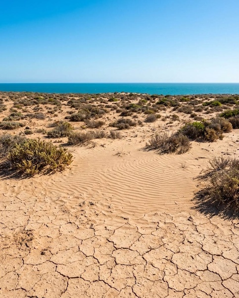Ce paysage côtier aride est caractérisé par de la terre craquelée, du sable texturé et une végétation éparse s'étendant vers la mer sous un ciel bleu limpide.