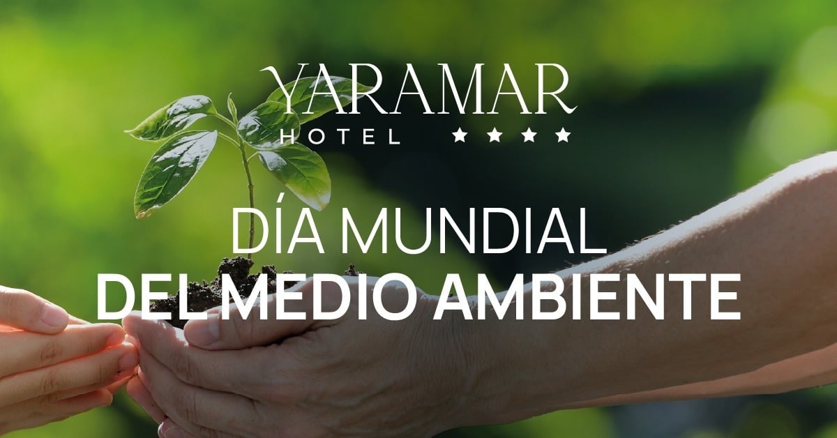Sembrando conciencia frente al mar: así celebramos el Día Mundial del Medio Ambiente en Hotel Yaramar