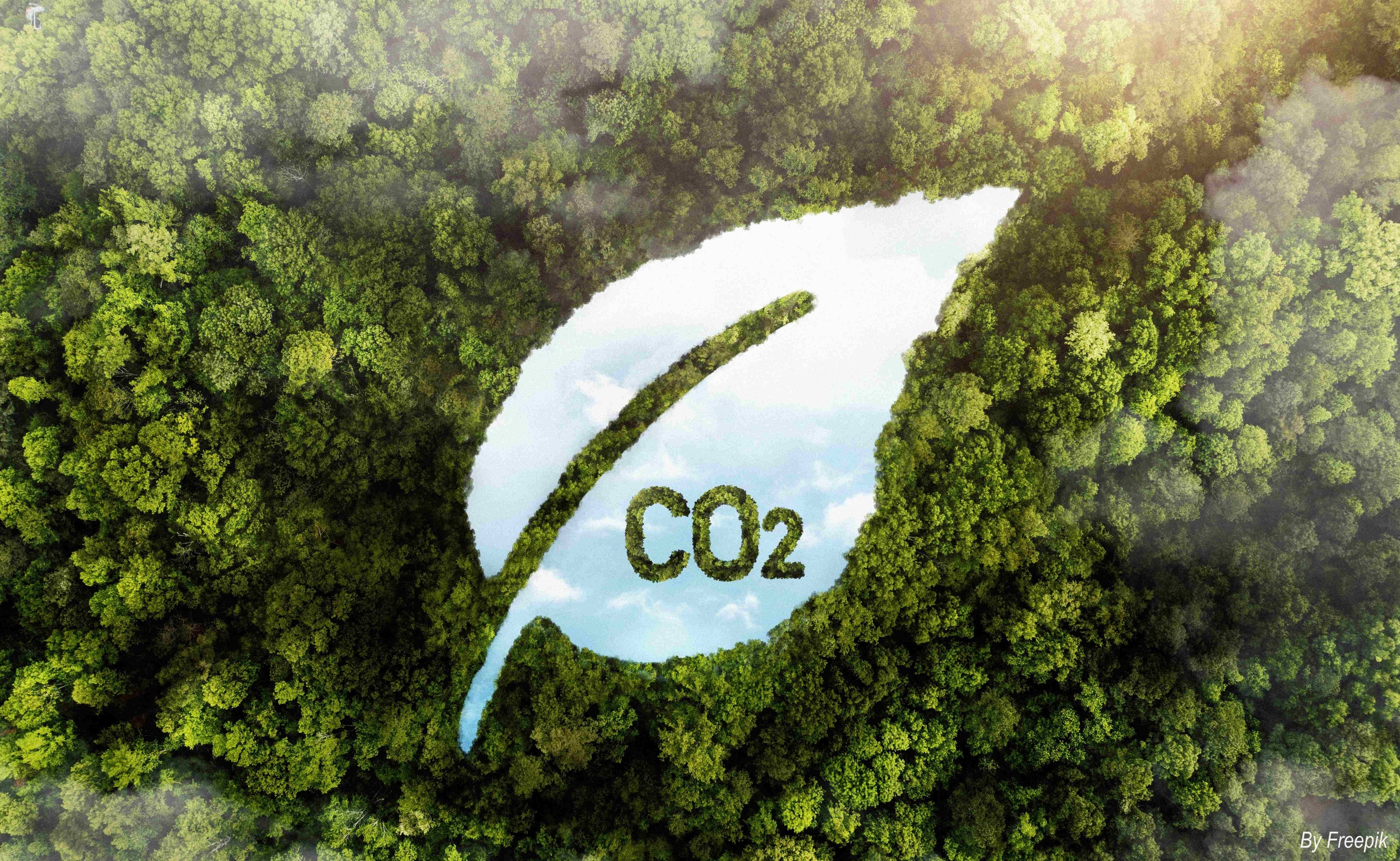 a leaf with the word co2 written on it